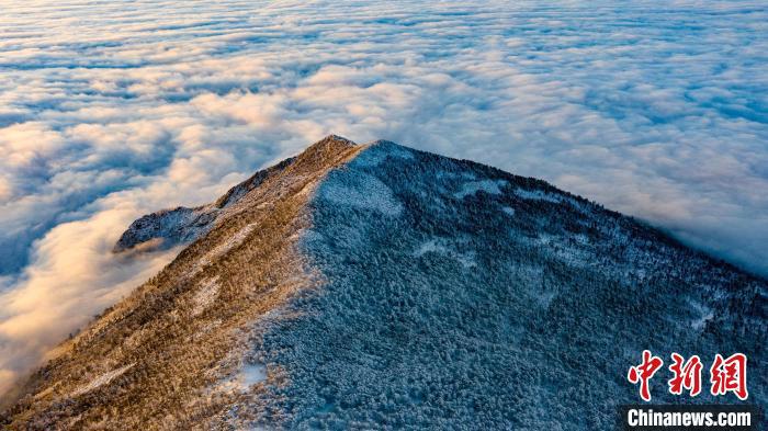 圖為朱雀國(guó)家森林公園內(nèi)初冬雪景。　朱雀國(guó)家森林公園供圖