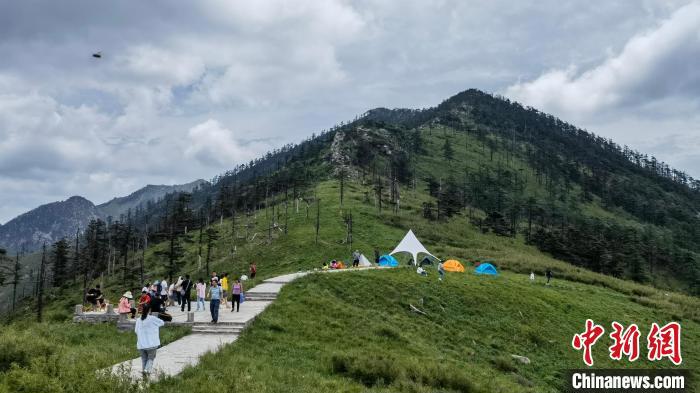 圖為游人在秦嶺山間踏青?！≈烊竾疑止珗@供圖