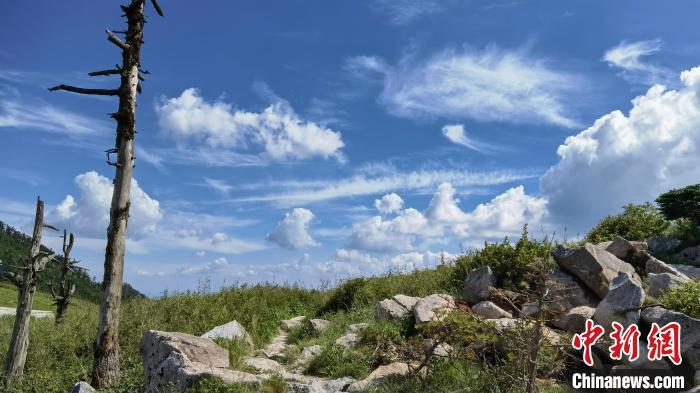 圖為秦嶺山間一景。　朱雀國家森林公園供圖