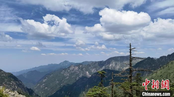 圖為綿延的秦嶺山巒?！≈烊竾疑止珗@供圖