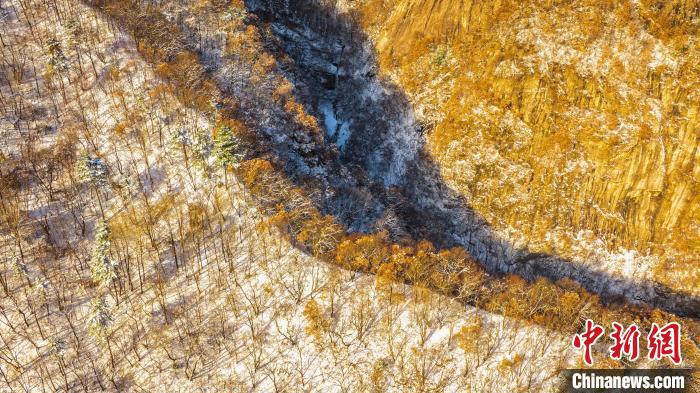 圖為秦嶺山間?！√絿疑止珗@供圖